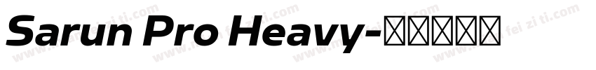 Sarun Pro Heavy字体转换